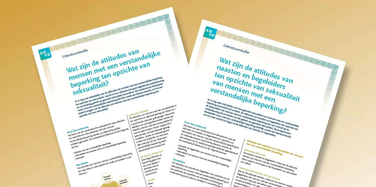 Seksualiteit Praktijkproducten 2022